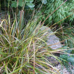 jaren dertig tuin oosterbeek stip gras en kei