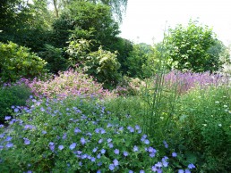 familietuin laren gemengde border