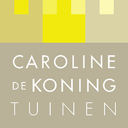 logo caroline de koning